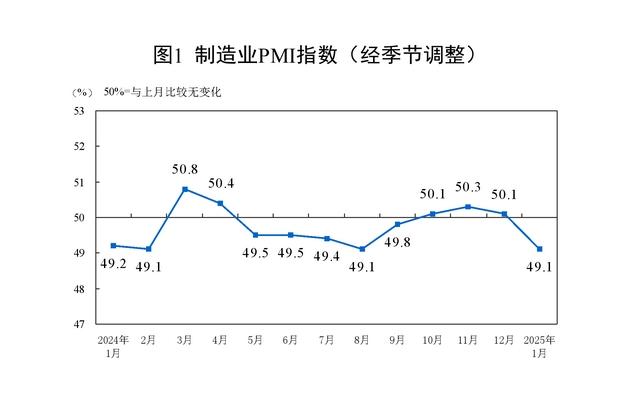 国家统计局：1月份制造业采购经理指数(PMI)为49.1%